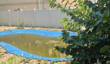 Staten Island Family Accuses Landlord of Making Their Home Unlivable