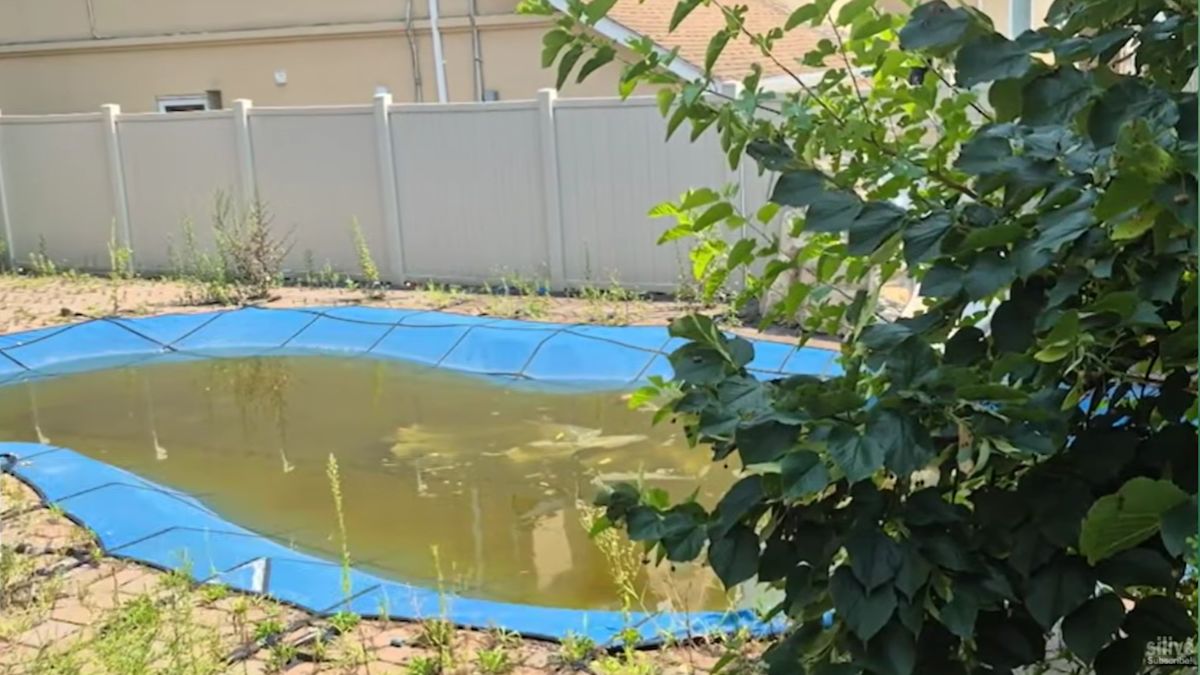 Staten Island Family Accuses Landlord of Making Their Home Unlivable