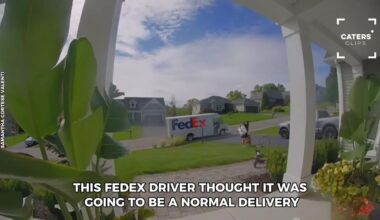 New York Dog Takes FedEx Driver By Surprise On CCTV