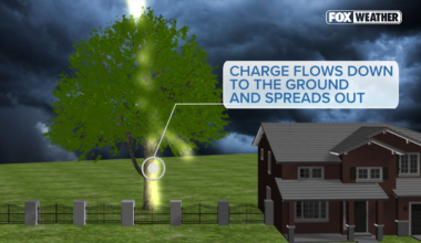 Watch: Man struck by lightning in terrifying moment caught on camera in Staten Island
