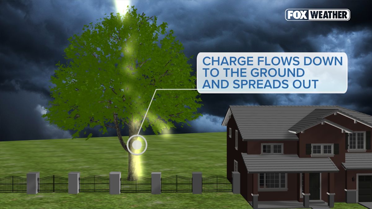 Watch: Man struck by lightning in terrifying moment caught on camera in Staten Island