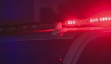 2 killed, 1 injured in separate overnight shootings in Brooklyn, Illinois
