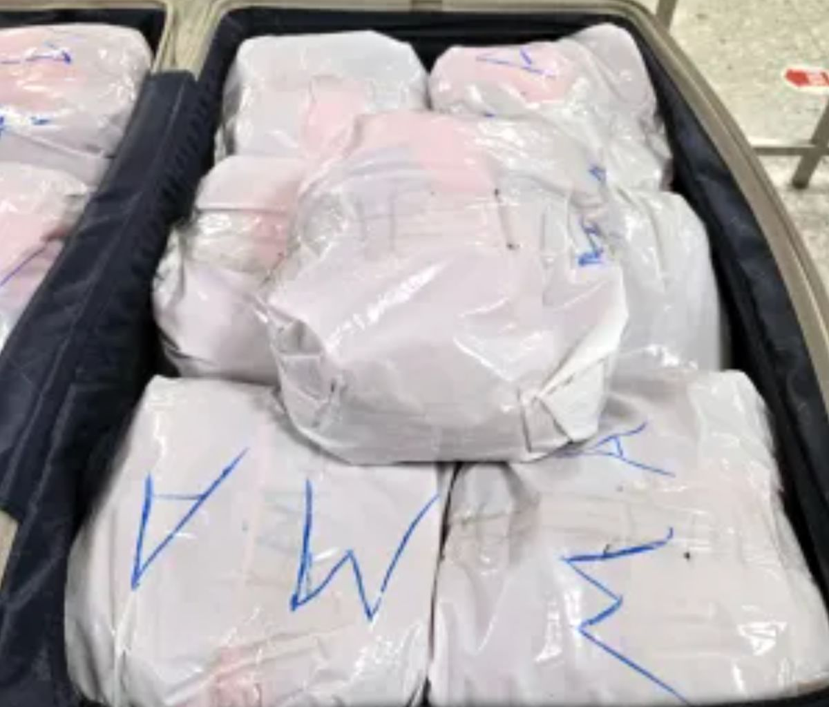 New York Man Arrested After Flying Into Dulles With 65 Pounds Of Khat In Luggage