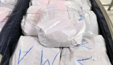 New York Man Arrested After Flying Into Dulles With 65 Pounds Of Khat In Luggage