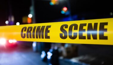 Man, 29, shot to death outside Bronx NYCHA complex
