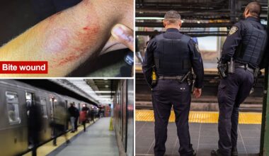 NYC judge fails to take bite out of crime after repeat offender chomps on cop