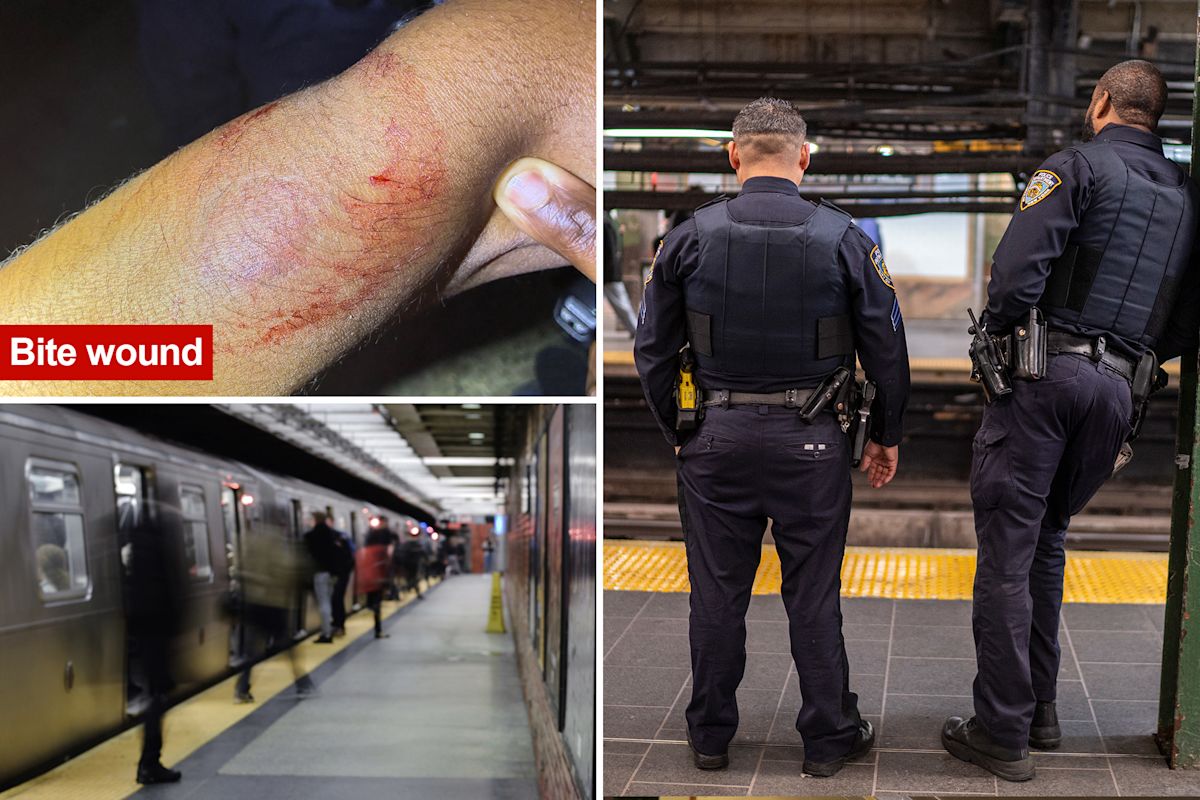 NYC judge fails to take bite out of crime after repeat offender chomps on cop