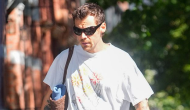 Harry Styles’ ‘Wild’ NYC Concert Ticket Ignites Backlash Before 9/11