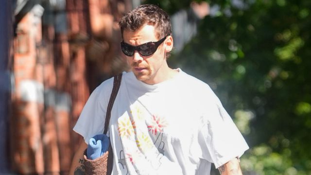 Harry Styles’ ‘Wild’ NYC Concert Ticket Ignites Backlash Before 9/11