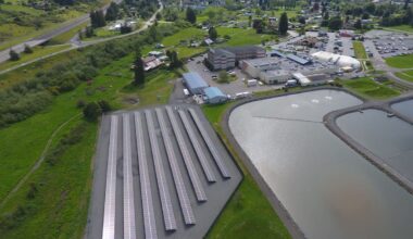 New York stands apart as US community solar growth clusters in states with stronger rules