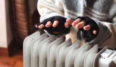 New York to probe every tenant heat complaint after old policy closed out thousands
