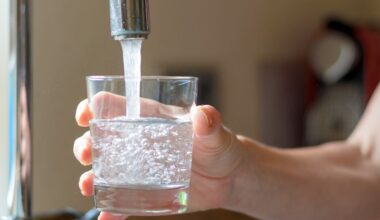New York homeowner still can't tell if tap is lead-free as 6,300 water systems miss EPA deadline
