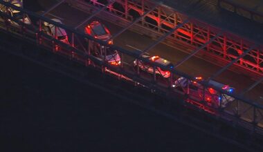 Police fatally shoot knife-wielding man on Brooklyn Bridge