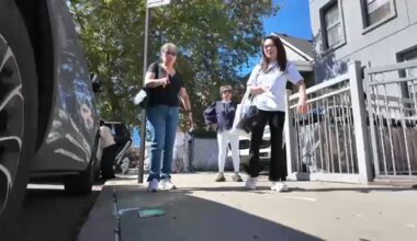 Bensonhurst residents object to New York City's tree planting plan over cultural impact