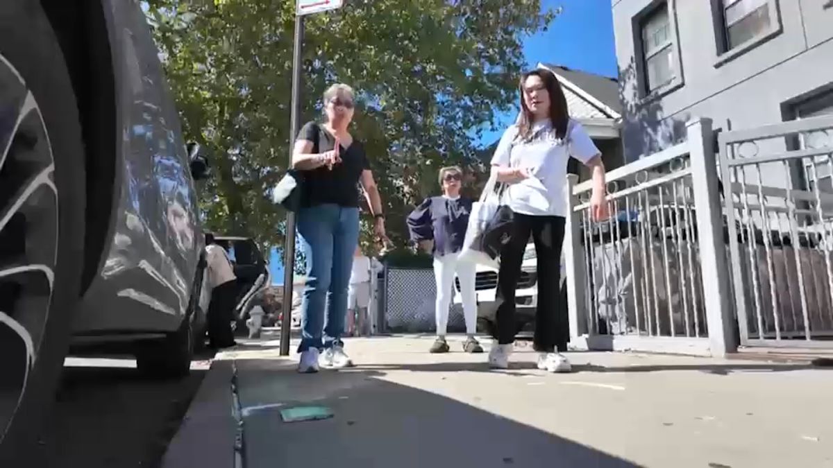 Bensonhurst residents object to New York City's tree planting plan over cultural impact