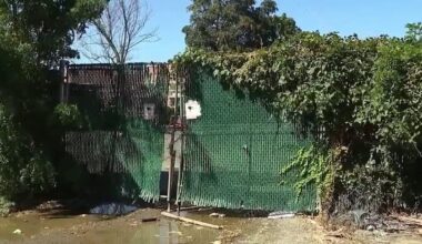 NY AG moves to protect historic Queens burial ground where 300 former slaves were buried