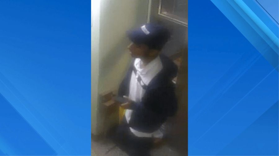 Woman sexually assaulted in an elevator in the Bronx: NYPD