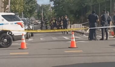 Pedestrian, 70, hit and killed by wrong-way driver in the Bronx: NYPD