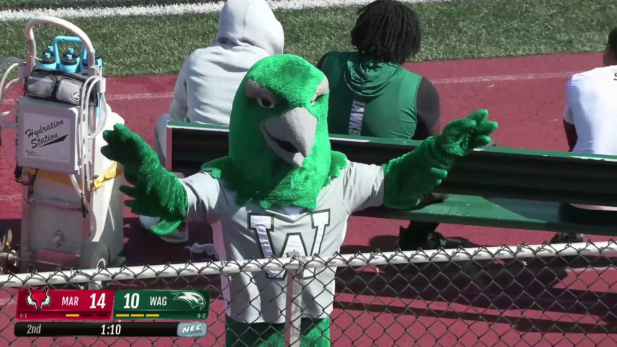Wagner Football Defensive Preview - by Christopher Helling