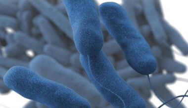 New York City: Legionnaires’ Disease cluster reported in the South Bronx
