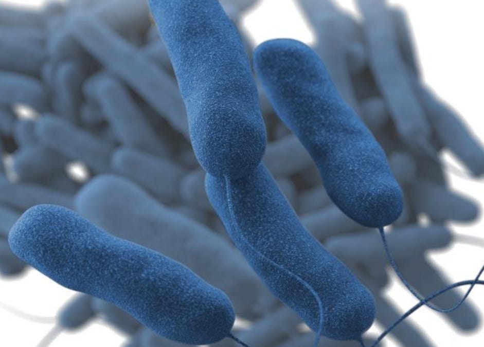 New York City: Legionnaires’ Disease cluster reported in the South Bronx