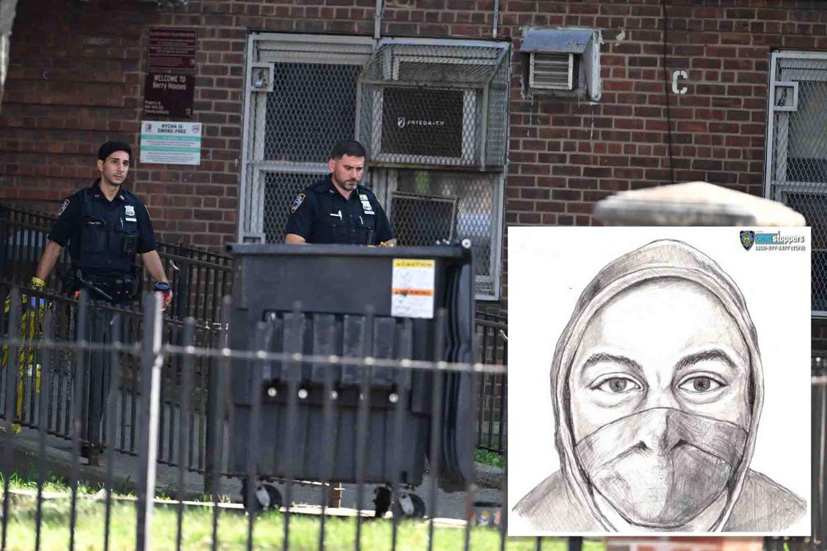 Hulking boy, 14, busted in NYC rape of delivery woman: cops, sources