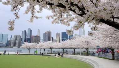 NYC planted over 18K trees in FY2026, targeting several vulnerable Queens neighborhoods – QNS