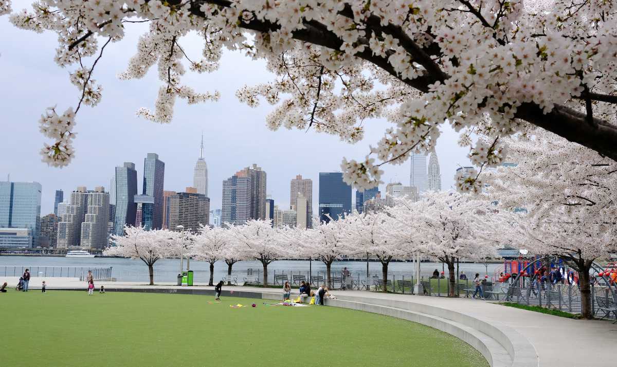 NYC planted over 18K trees in FY2026, targeting several vulnerable Queens neighborhoods – QNS
