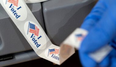 Could NY use expanded federal voter citizenship database?