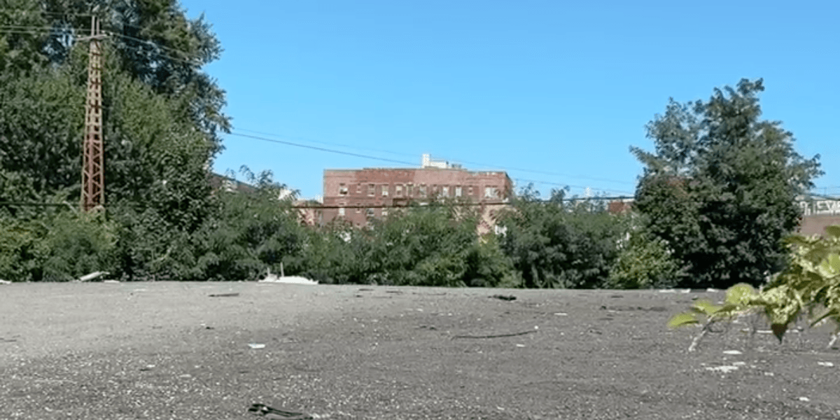 Advocates urge city to preserve Queens burial ground for formerly enslaved: 'Condos shouldn't rest on my ancestors'