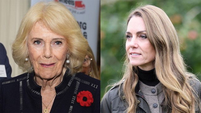 Kate Middleton & Queen Camilla's Relationship Gets Update After Harry's UK Move