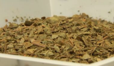 kratom