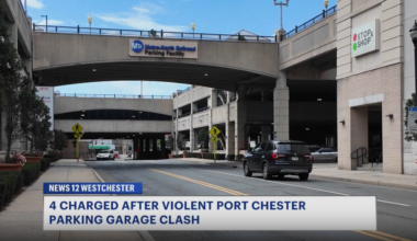 News 12 | Bronx | Machete Attack In Downtown Port Chester Ends With Multiple Arrests