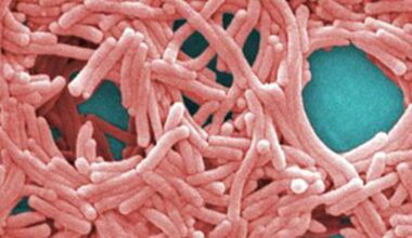 NYC unveils new Legionnaires' disease strategy after 11 died in UES outbreak