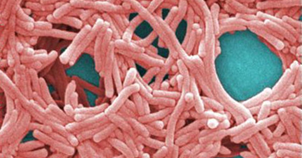 NYC unveils new Legionnaires' disease strategy after 11 died in UES outbreak