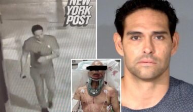 Ex-Jets QB Mark Sanchez to plead guilty in attack on grease truck driver that left him badly injured