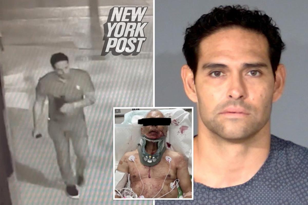 Ex-Jets QB Mark Sanchez to plead guilty in attack on grease truck driver that left him badly injured