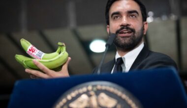 NYC grocers sue city over subsidized municipal grocery stores plan