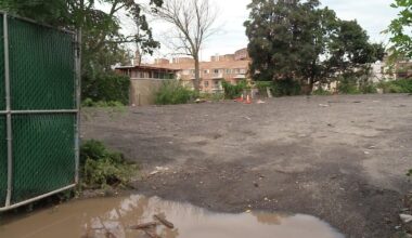 Site of historic African burial ground in Queens sits neglected, community members say
