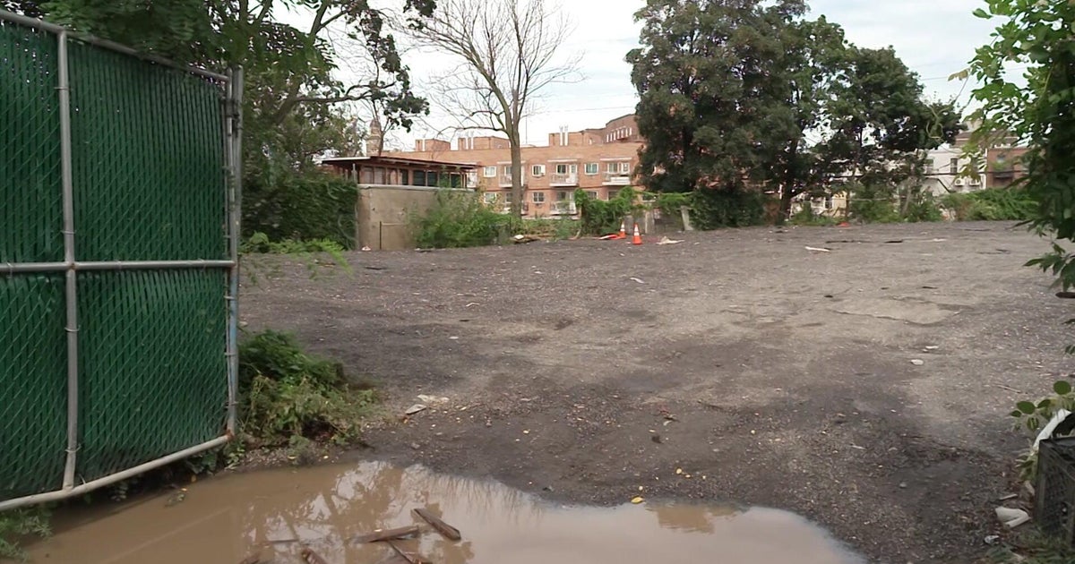 Site of historic African burial ground in Queens sits neglected, community members say