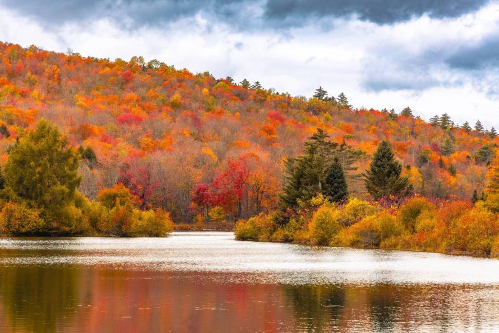 new york state fall foliage 