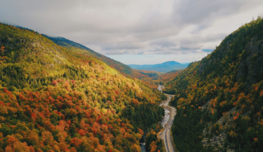 New York State's interactive fall foliage map is now live — and the leaves are starting to change in some regions