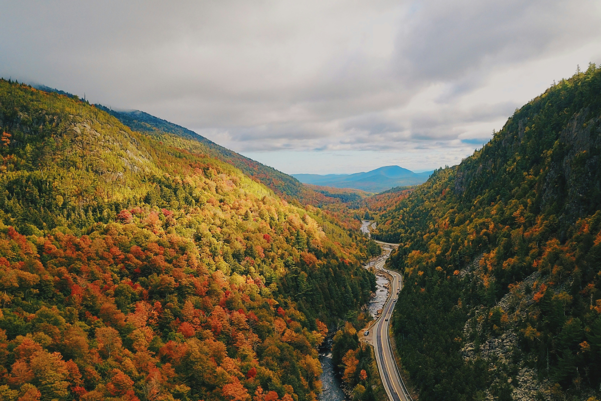 New York State's interactive fall foliage map is now live — and the leaves are starting to change in some regions