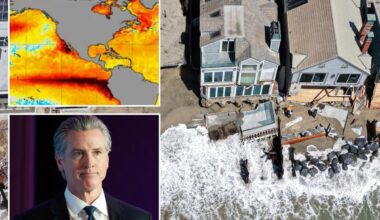 Gavin Newsom declares California state of emergency ahead of El Niño