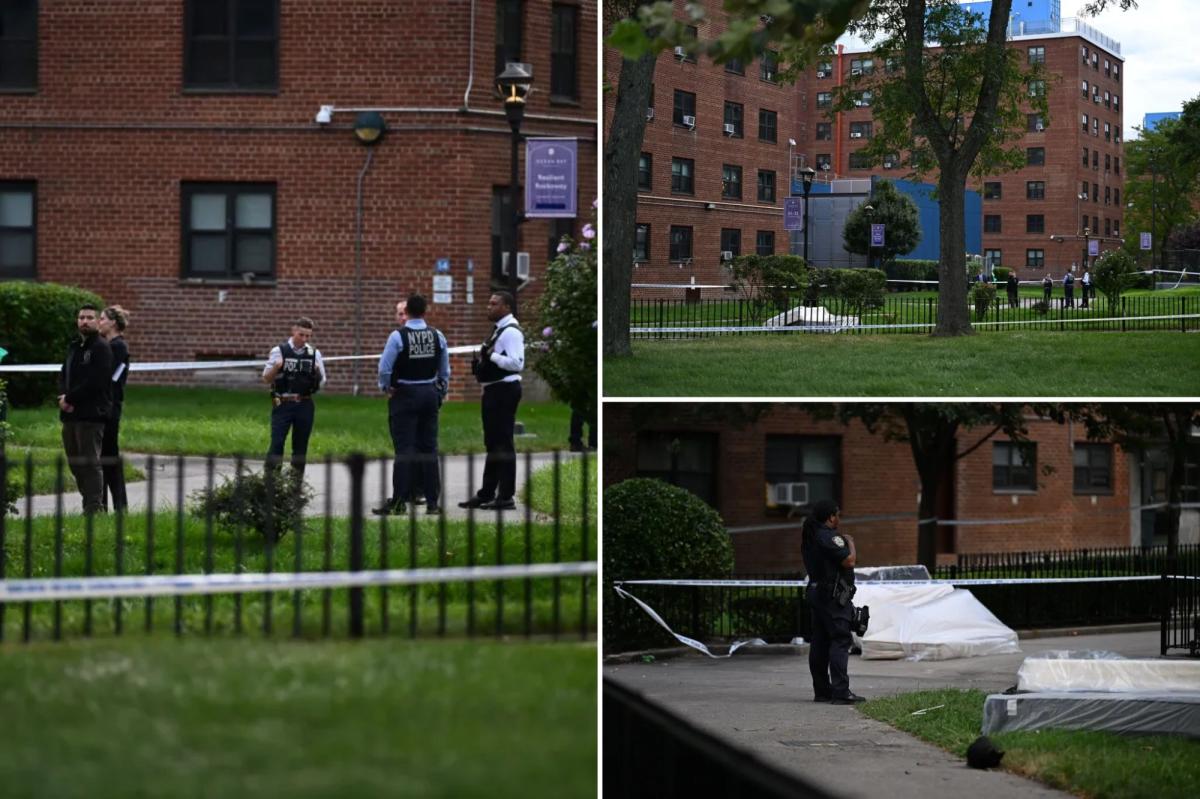 14-year-old boy killed during possible NYC scooter robbery: sources