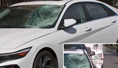 NYC man, 68, killed in possible Lamborghini hit-and-run