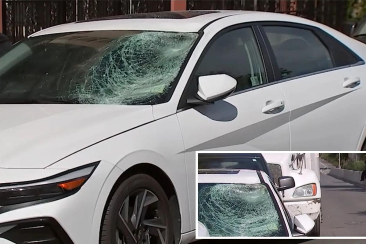 NYC man, 68, killed in possible Lamborghini hit-and-run