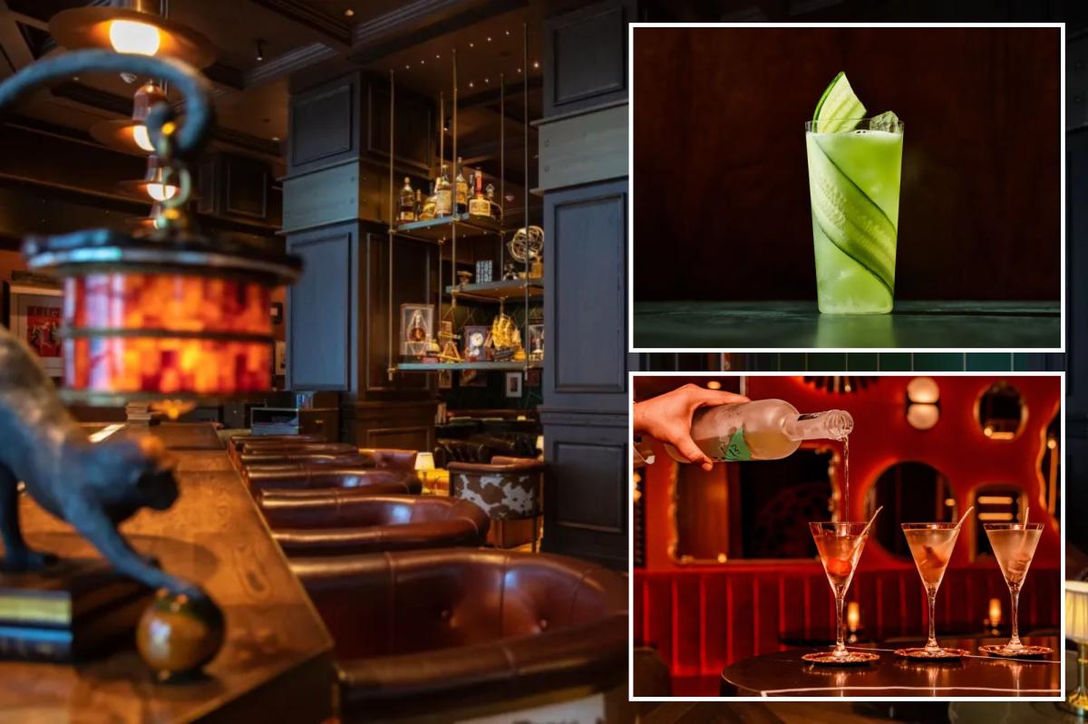 NYC’s newest hidden bars blend mystique with novel cocktails