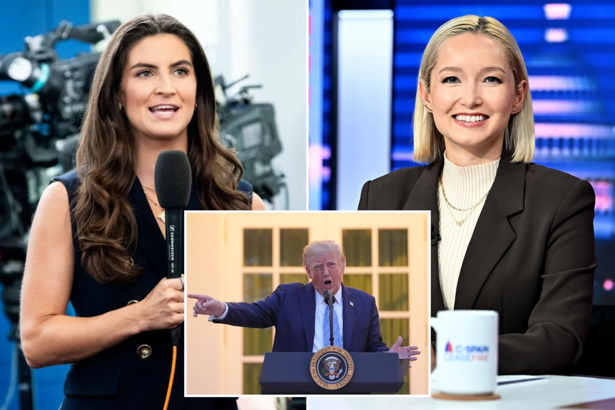 Trump announces CNN, MS NOW and Politico barred from White House 'effective immediately' in latest blast at media