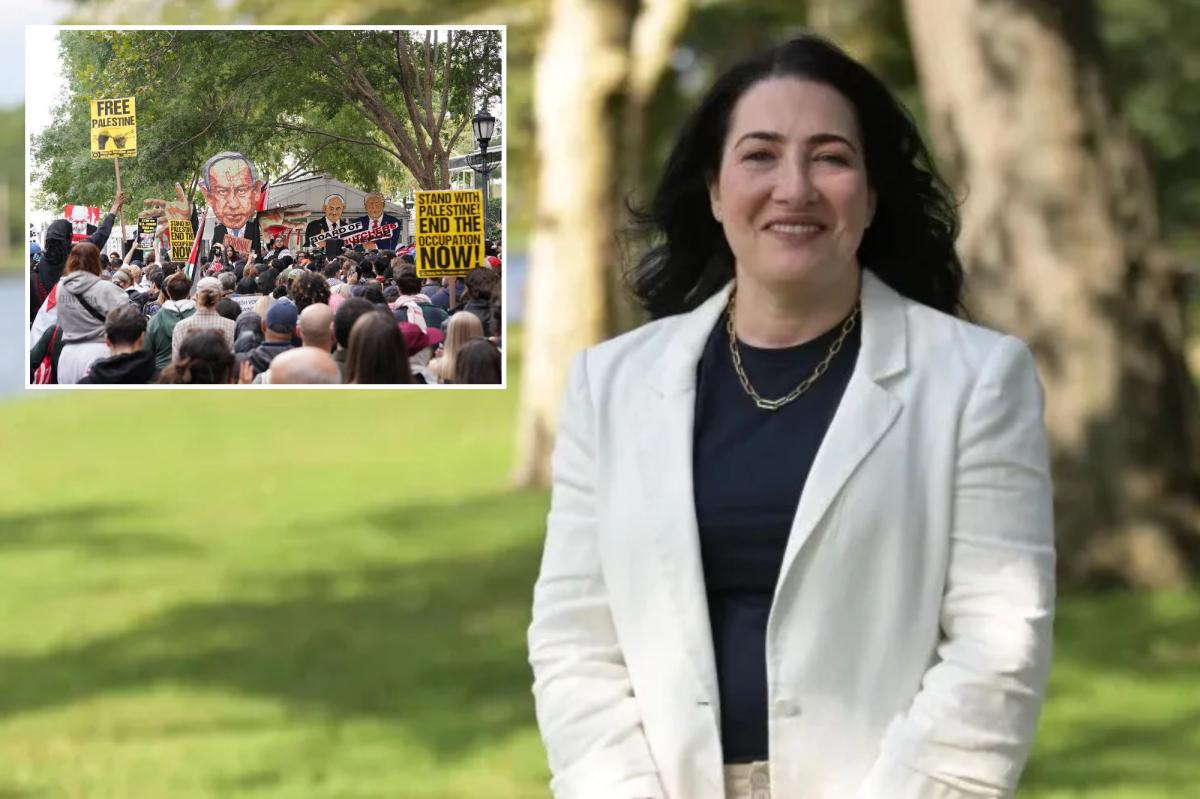 Long Island health care exec motivated to run for state Senate over antisemitism in NY